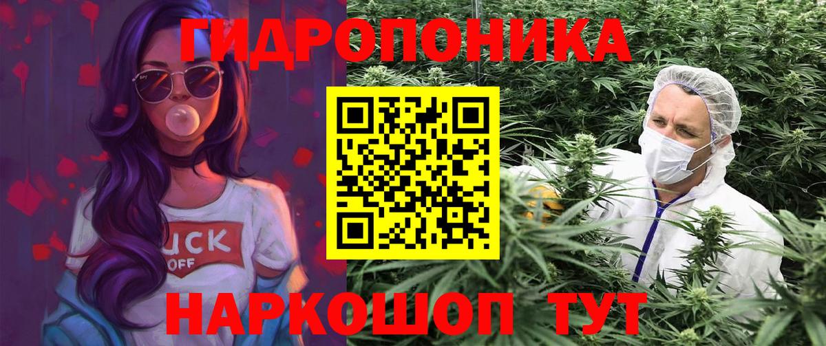 Шишки марихуана тримм  Каннабис Ganja  Калач-на-Дону  Вход с VPN  Марихуана LSD WEED  Канабис SATIVA & INDICA 
